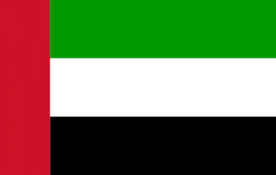 United Arab Emirates Dirham Flag