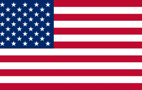 United States Dollar Flag